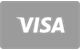 Visa flat payment card icon